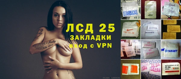 винт Абаза