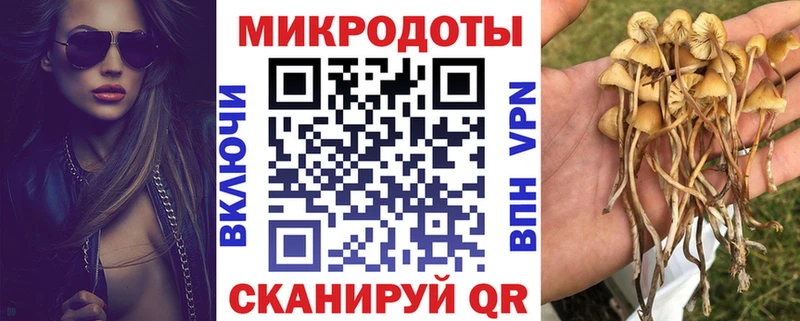 дарк нет наркотические препараты hydra ссылка Ладушкин Псилоцибиновые грибы мухоморы